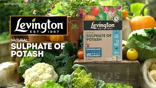 How to use Levington Natural Sulphate of Potash for flowers and fruit plants [upl. by Mccreary]