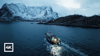 Lofoten Norway  Winter Relaxing Film 4K [upl. by Beckie421]