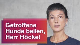 Getroffene Hunde bellen Herr Höcke [upl. by Desmund]