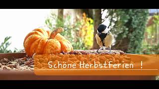 Schöne Herbstferien [upl. by Gilberto54]