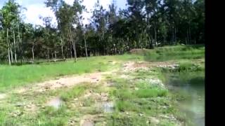 Farm house Plots for sale in Sakleshpur Chikmagalur Karnataka [upl. by Dwane370]