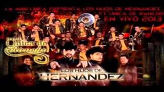 los hijos de hernandez ft banda la unica del rancho DISCO COMPLETO 2014 [upl. by Evans959]