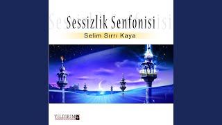 Sessizlik Senfonisi [upl. by Argus107]