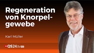 Grundlagen zum KnorpelWachstum  Knorpelregeneration  Schmerzfrei ohne Operieren  QS24 [upl. by Cowen]