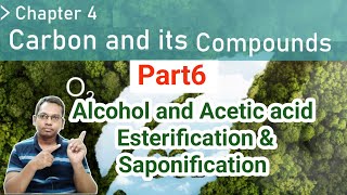 carbon and its compounds part6 Esterification and safonification [upl. by Dorothy]