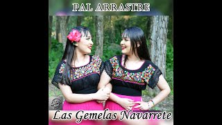 Pal arrastre Las Gemelas Navarrete 2024 [upl. by Ganny]