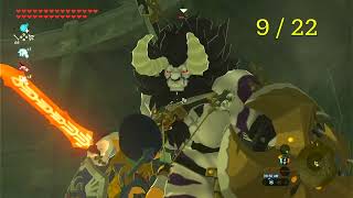 All Lynel locations no damage  Zelda BOTW [upl. by Kovacs449]