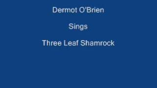 Three Leaf Shamrock  Dermot OBrien  Lyrics Underneath [upl. by Hgielime992]