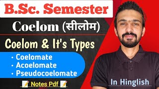 Coelom And Its Types  Bsc Semester  By Dadhich Sir [upl. by Anaila]