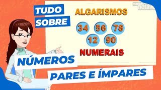 NÚMEROS PARES E ÍMPARES  1º Ano Matemática [upl. by Aynatan342]