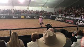 2017 Bull Fighters Only World Finals [upl. by Gilmer674]