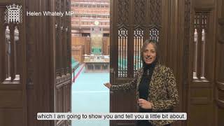 Helen in the House of Commons for Parliament Week 2023 [upl. by Noell372]