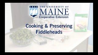 UMaine Extension Cooking and Preserving Fiddleheads [upl. by Ramar]