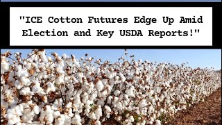 quotICE Cotton Futures Edge Up Amid Election and Key USDA Reportsquot [upl. by Rafat]