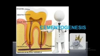 CEMENTOGENESIS SIMPLE LECTURE [upl. by Aninaig]