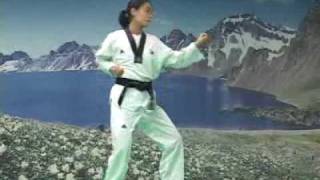 남창도장  응용품새2 TKD NAM CHANG DOJANG  POOMSAE TRAINING 1 [upl. by Kirrad]