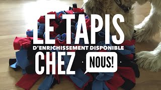 Le tapis denrichissement pour chiens snuffle mat [upl. by Dayir]