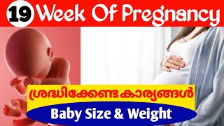 Pregnancy Week by Week Malayalam  19 Weeks Pregnancy Malayalam [upl. by Alekram]