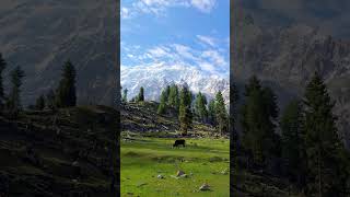 Feel nature view 😀 skoon north pakistan🫣 mountains youtubeshorts shorts [upl. by Russ490]