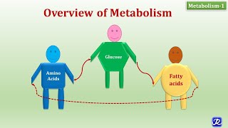 1 Overview of Metabolism  Metabolism1  Biochemistry  NJOY Biochemistry [upl. by Emmaline]