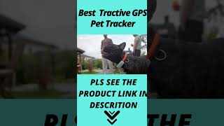 Best Tractive GPS Pet Tracker 2023  Top Tractive GPS Pet Tracker review Buying Guide [upl. by Courcy]