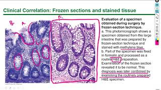 Histology Lecture 1 Chapter 1 [upl. by Kreda742]