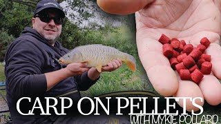 SO SIMPLE PELLET FISHING FOR CARP  MYKE POLLARD [upl. by Di727]