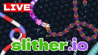 【スリザリオ】マップ中央で遊ぶ【slitherio】 [upl. by Nohsal]