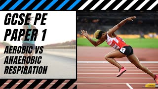 AQA GCSE PE Aerobic Vs Anaerobic Respiration  How To Pass GCSE PE  Paper 1  GCSE Biology [upl. by Coheman468]