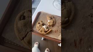 How To Only Make ONE Cookie 🍪…easyrecipe baking cookies [upl. by Rosene]