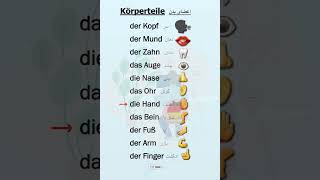 Lernen der Körperteile auf Deutsch🇩🇪📚A1ampA2 آموزش اعضای بدن به آلمانیeducation deutsch زبان [upl. by Uhn]