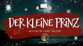 Der kleine Prinz komplettes Hörbuch zum Einschlafen und Träumen Antoine de SaintExupéry [upl. by Ridley]