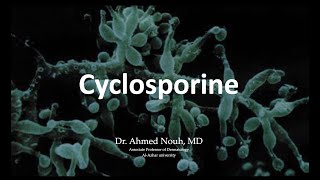 cyclosporine [upl. by Ahsenit]