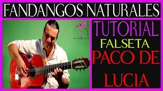 FANDANGOS NATURALES FALSETA PACO DE LUCIA TUTORIAL quotFACILquot POR MEDIO [upl. by Samale116]