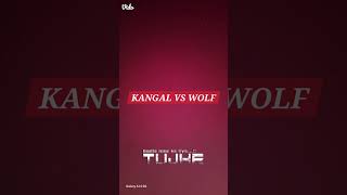 KANGAL VS WOLF FIGHT attitude viral shorts [upl. by Llehsyt130]