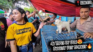 Cheap Price Dog In Kolkata  Gallif Street Pet Market Kolkata  Recent Dog Puppy Price Update  Dogs [upl. by Cohbert]