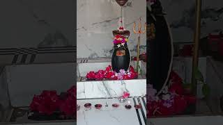 Deeneshwar Mahadev Dhaam shringaar darshan 🙏🌺🙏deeneshwar hridaynath [upl. by Naltiac]