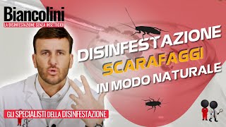 ​📌​Disinfestazione naturale fai da te Eliminare scarafaggi in casa tua grazie ad un GEL speciale [upl. by Goodyear]