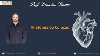 Anatomia do coração  Aula ao vivo [upl. by Monie]