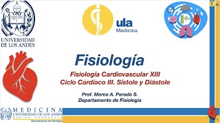 Fisiología Cardiovascular XIII Ciclo Cardíaco III [upl. by Mortimer]