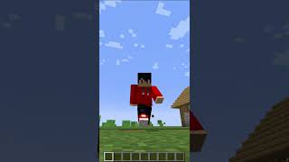 These Minecraft commands is really Awesome  minecraft [upl. by Leseil64]