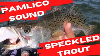 Targeting Speckled Trout in OBX  Pamlico Sound Trout Fishing [upl. by Vijnas]