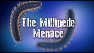 The Millipede Menace [upl. by Ayoral]