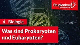 Was sind Prokaryoten und Eukaryoten  Biologie verstehen mit dem Studienkreis [upl. by Assilev]