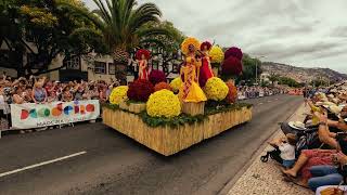 Festa Da Flor 2024 [upl. by Adym]