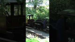 Sandy River Steam on the Bickington Steam Railway Trago Mills train steamtrain railroad [upl. by Divadnhoj]