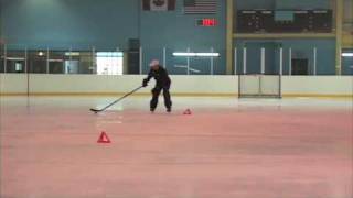 iTrain Hockey Puck Protection [upl. by Siusan]