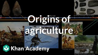 Origins of agriculture  World History  Khan Academy [upl. by Reh]