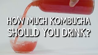 How Much Kombucha Should I Drink [upl. by Oijimer509]