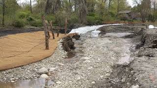 Traphole Brook Restoration Project [upl. by Almita]